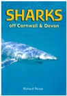 Image for Sharks Off Cornwall and Devon