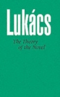 Image for Theory of the Novel