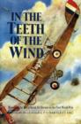 Image for In the Teeth of the Wind : Memoir of the Royal Naval Air Service in World War I