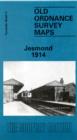 Image for Jesmond 1914 : Tyneside Sheet 4