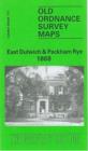 Image for East Dulwich and Peckham Rye 1868 : London Sheet  117.1