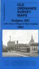 Image for Sedgley (SE) with Swan Village and West Coseley 1901 : Staffordshire Sheet 1901
