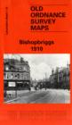 Image for Bishopbriggs 1910 : Lanarkshire Sheet 1.15