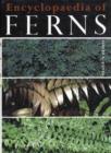 Image for Encyclopedia of ferns  : their structure, biology, importance, cultivation and propagation