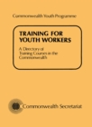 Image for Training for Youth Workers
