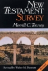 Image for New Testament survey