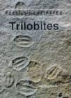 Image for Trilobites