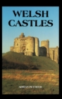 Image for Welsh castles  : a guide by counties