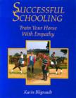 Image for Successful Schooling