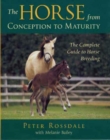 Image for The horse from conception to maturity