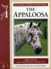 Image for Appaloosa Horse