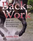 Image for Back to work  : how to rehabilitate or recondition your horse