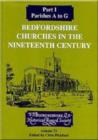 Image for Bedfordshire Churches in the Nineteenth Century