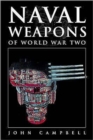 Image for Naval weapons of World War Two