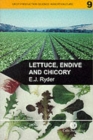 Image for Lettuce, endive and chicory