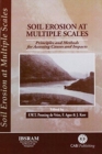 Image for Soil Erosion at Multiple Scales