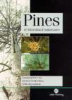 Image for Pines of silvicultural importance
