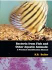 Image for Bacteria from Fish and Other Aquatic Ani