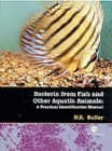 Image for Bacteria from Fish and Other Aquatic Animals : A Practical Identification Manual