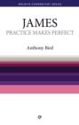 Image for Practice Makes Perfect - James: The Book of James Simply Explained