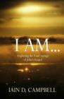 Image for I Am: Exploring the &#39;I am&#39; sayings of John&#39;s Gospel