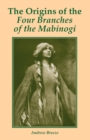 Image for The Origins of the Four Branches of the Mabinogi