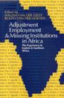 Image for Adjustment, Employment and Missing Institutions in Africa