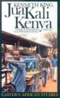 Image for Jua Kali Kenya  : the African artisan &amp; the informal sector revisited