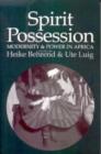 Image for Spirit Possession, Modernity and Power in Africa