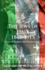 Image for The Jews of Italy, 1848-1915