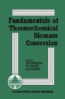 Image for Fundamentals of Thermochemical Biomass Conversion