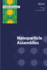 Image for Nanoparticle Assemblies : Faraday Discussions No 125