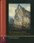 Image for The Cistercians in Wales : Architecture and Archaeology 1130-1540