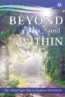 Image for Beyond and within