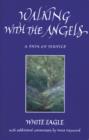 Image for Walking with the angels: a path of service