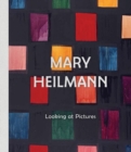Image for Mary Heilmann: Looking at Pictures