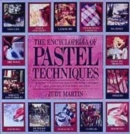 Image for The Encyclopedia of Pastel Techniques