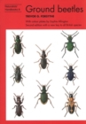 Image for Ground beetles