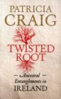 Image for A twisted root  : ancestral entanglements in Ireland