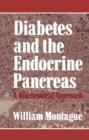 Image for Diabetes and the Endocrine Pancreas : A Biochemical Approach