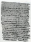 Image for Papyri. Greek &amp; Egyptian
