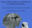 Image for The sacred animal necropolis at North Saqqara  : Mother of Apis and Baboon catacombs