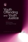 Image for Youth offending and youth justice