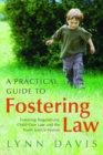 Image for A practical guide to fostering law: fostering regulations, child care law and the youth justice system