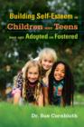 Image for Building self-esteem in children and teens who are adopted or fostered