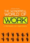 Image for The wonderful world of work: a workbook for asperteens