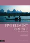 Image for The handbook of five element practice