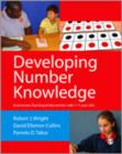 Image for Developing number knowledge  : assessment, teaching and intervention with 7-11 year olds