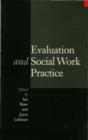 Image for Evaluation and social work practice