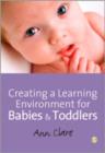 Image for Creating a learning environment for babies and toddlers